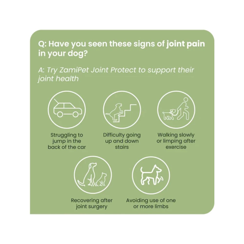 ZamiPet Joint Protect Dog - Image 4