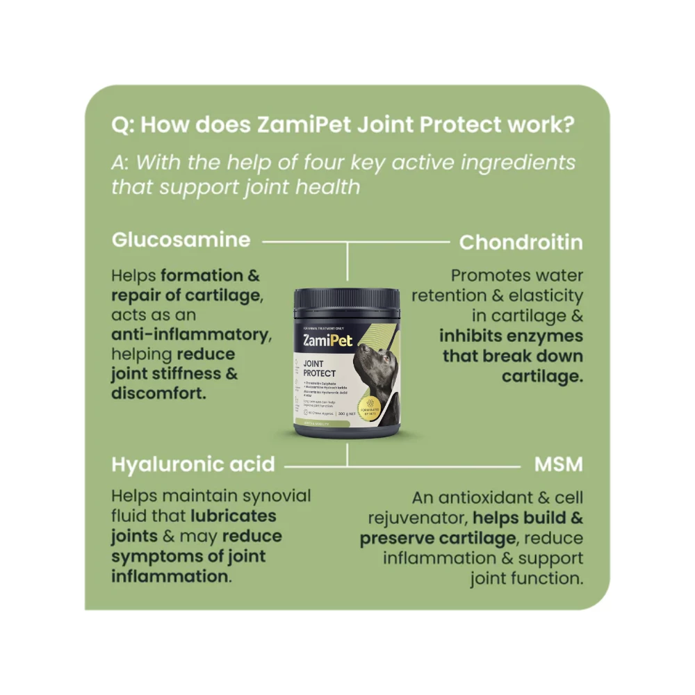 ZamiPet Joint Protect Dog - Image 5