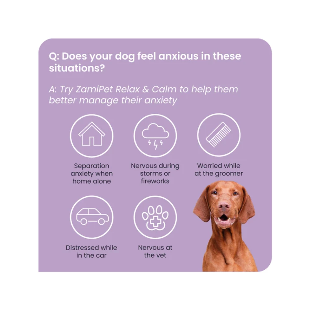 ZamiPet Relax & Calm Dog - Image 4
