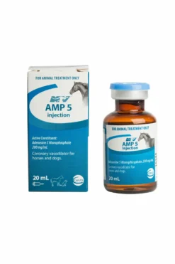 Amp-5 Injection 20Ml