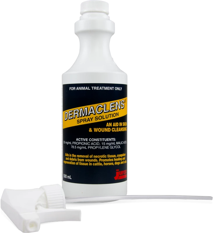 Dermaclens Spray 500mL