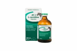 L-Carnitine 100Ml Injection