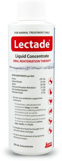 Lectade Liquid 250Ml