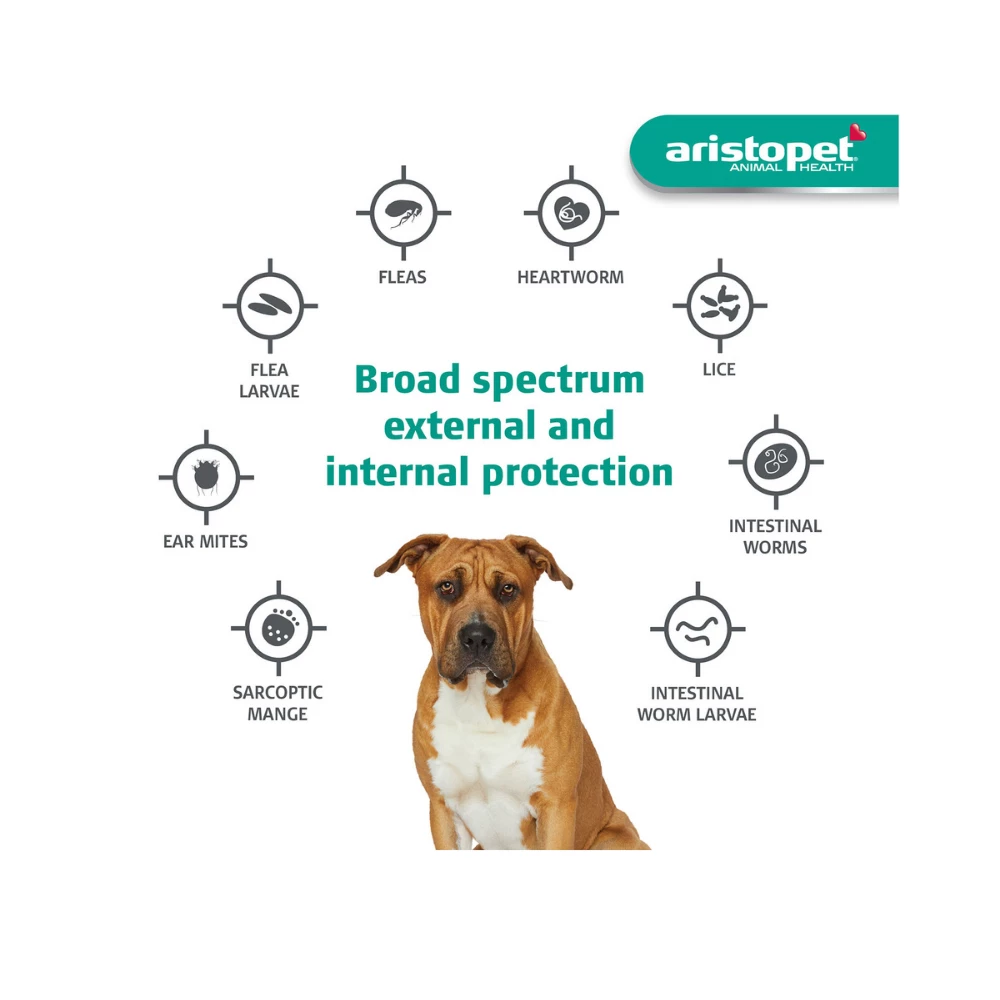 Aristopet Flea Heartworm & Worms Spot On Dog Over 25kg Red - Image 6
