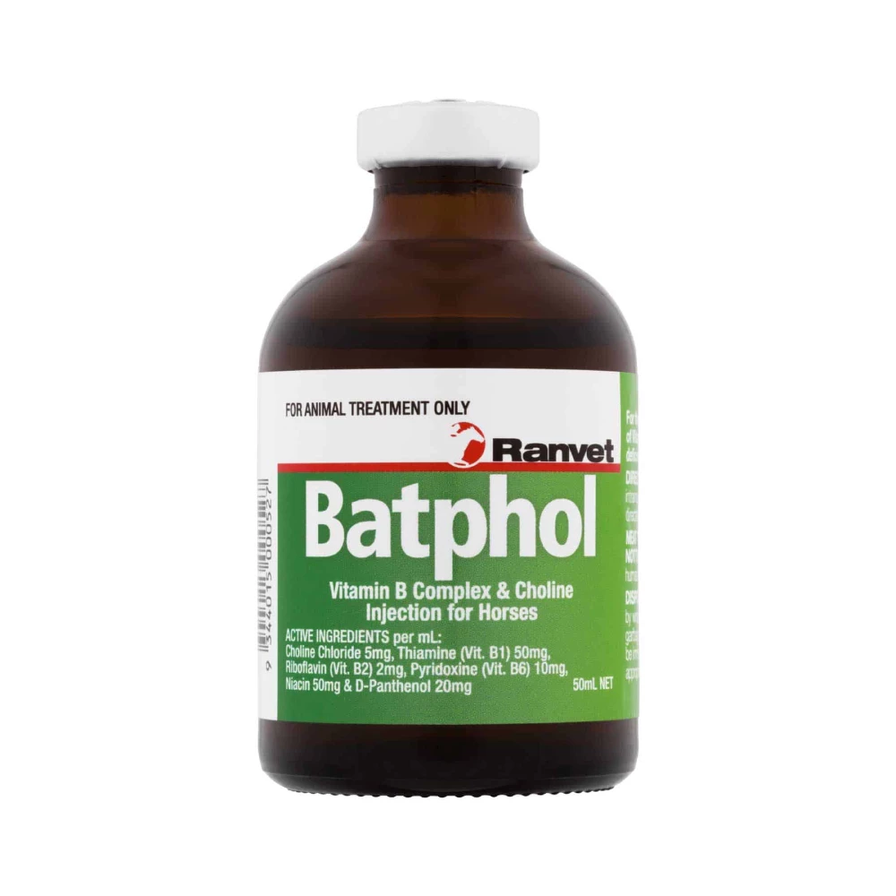 Batphol Vitamin B Complex & Choline Injection Horse 50ml