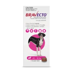 Bravecto Chewables Dog Extra Large 88 - 123lbs Purple