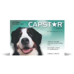 Capstar For Dogs Large 25.1 - 125lbs 6 Pack