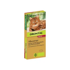 Drontal Allwormer Cat Large 13.2lbs 1 Tablet