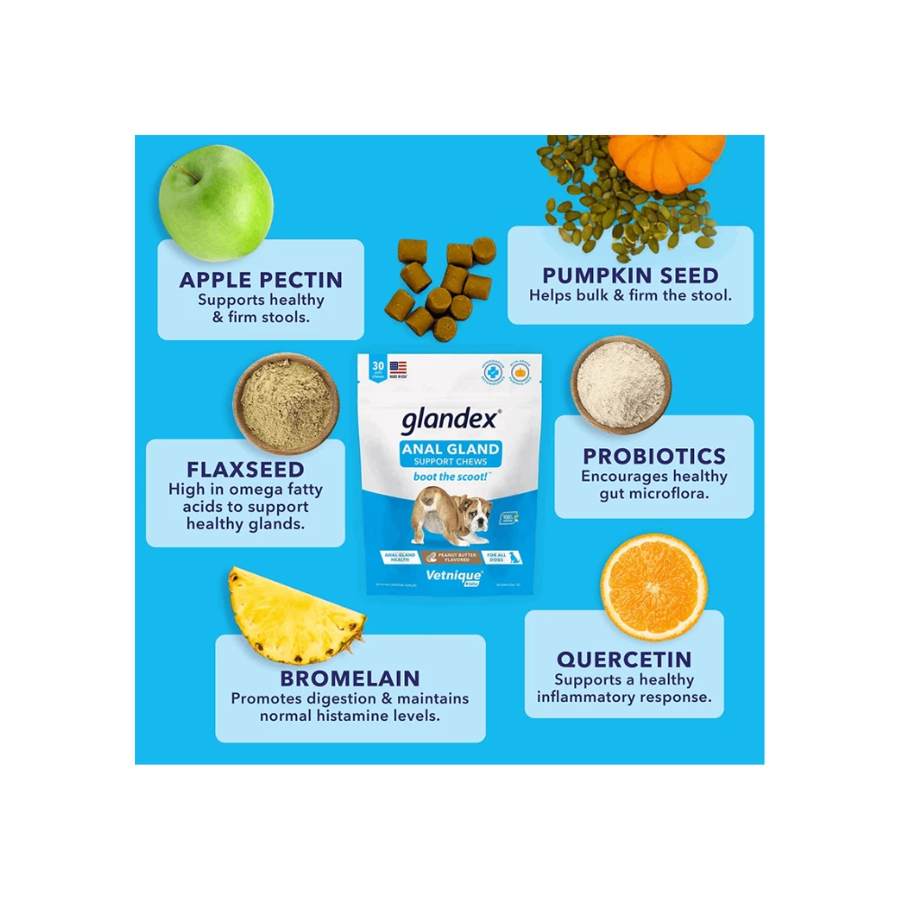 Glandex Anal Gland Support Dog Soft Chews Peanut Butter - Image 5