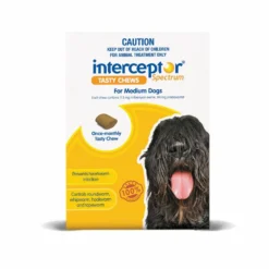 Interceptor Spectrum Dog Medium 22 - 44lbs Yellow
