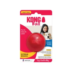 KONG Ball Dog Toy