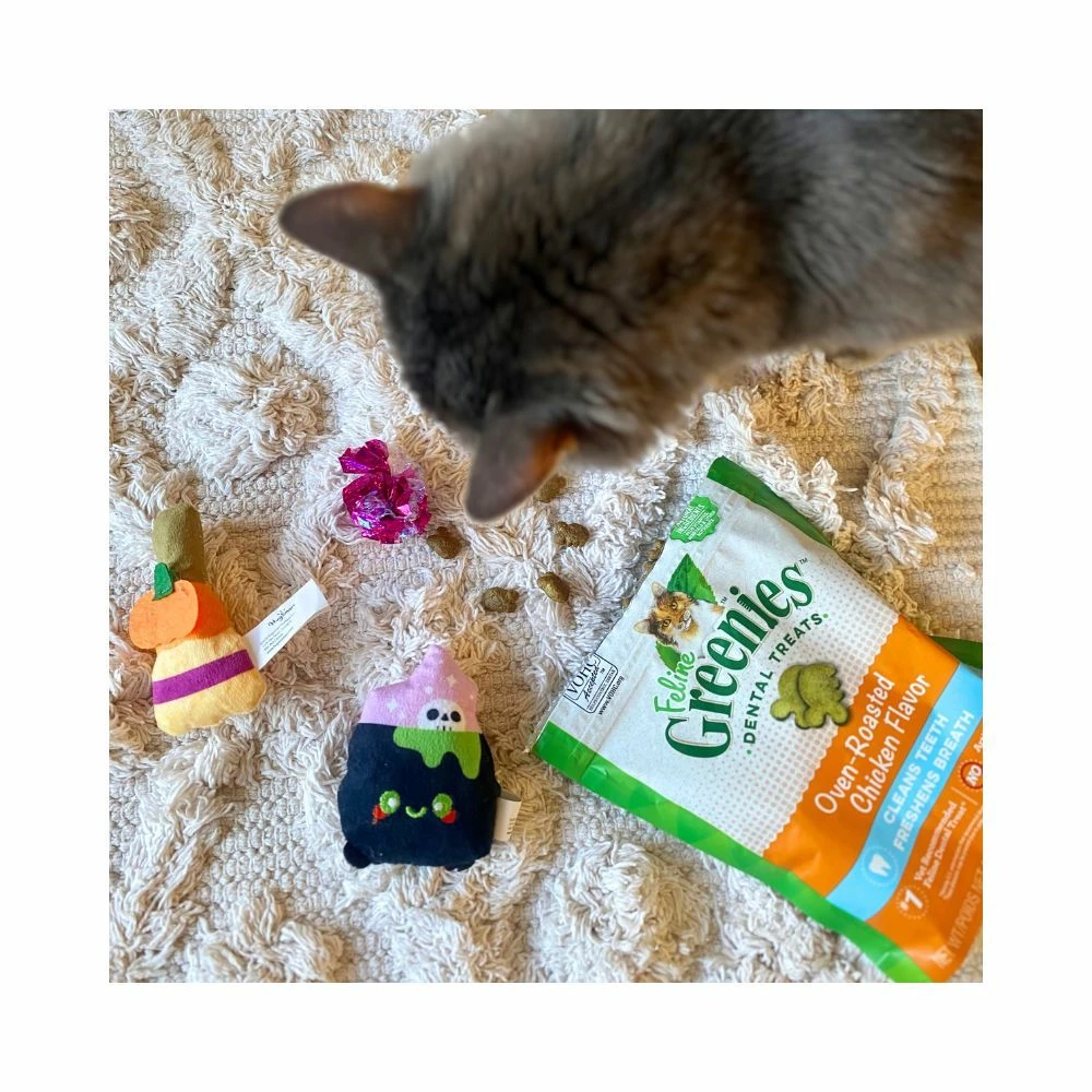 Prestige HugSmart Meow Buddies Halloween Witch's Brew Cat Toy 3pk - Image 3