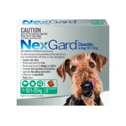NexGard Chewables Dog Medium 24.1 - 60lbs Green