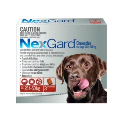 NexGard Chewables Dog Large 60.1 - 121lbs Red