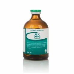 Ceva DMG Injection 100mL