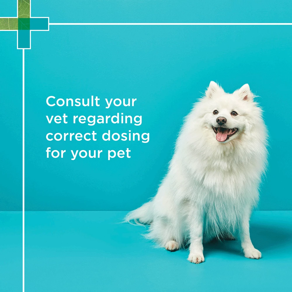 PAW Fish Oil 500 Veterinary Strength 200mL - Image 5