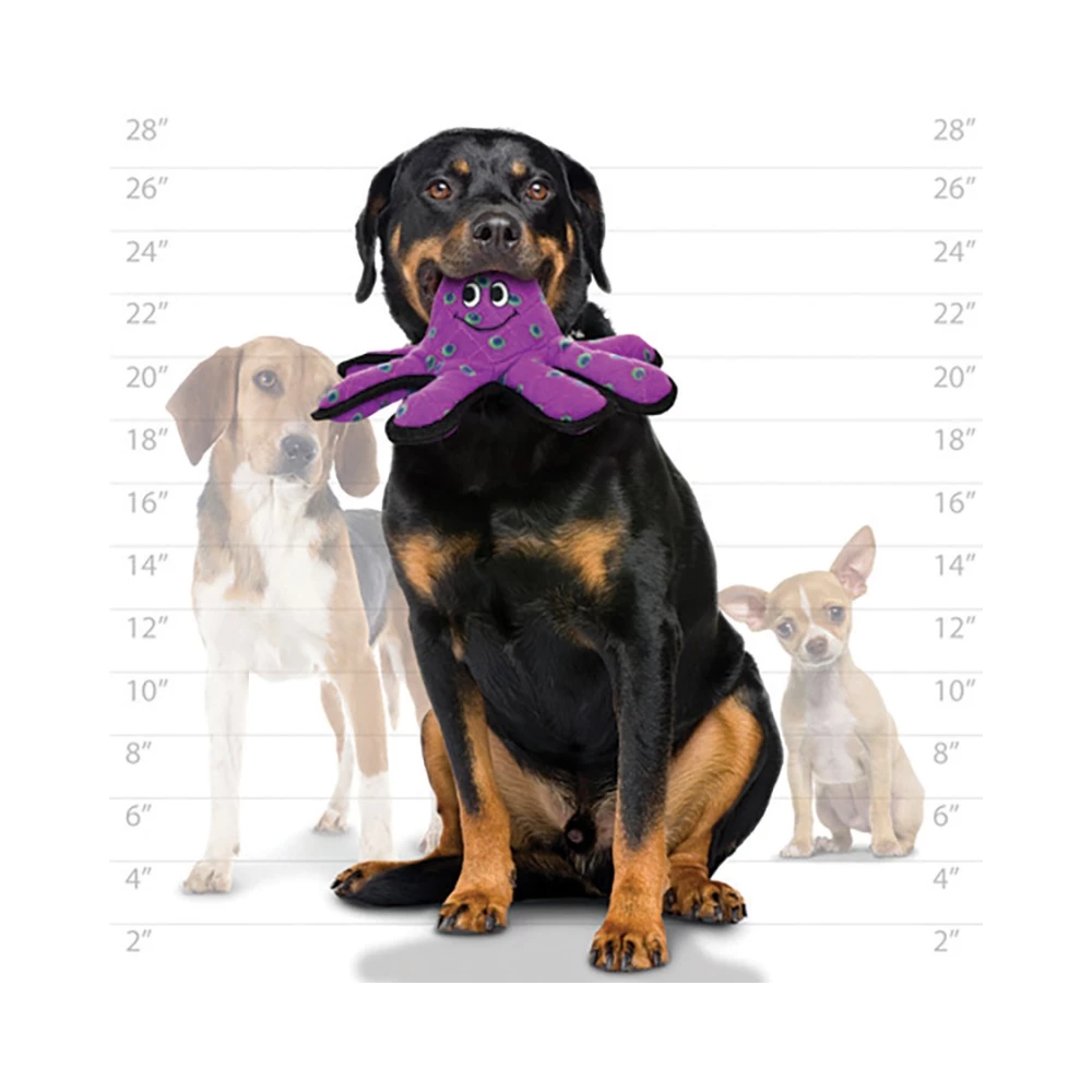 Prestige Tuffy Sea Creatures Li L Oscar Octopus Dog Toy - Image 3