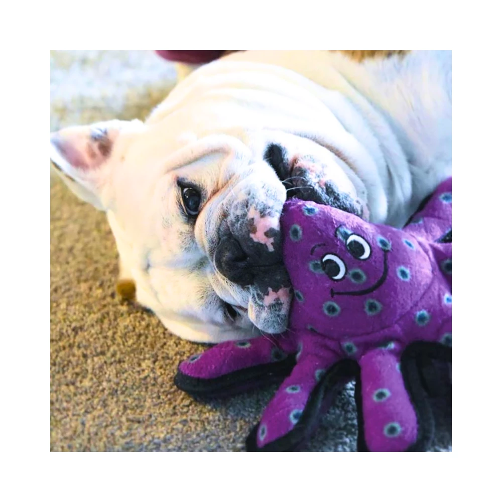 Prestige Tuffy Sea Creatures Li L Oscar Octopus Dog Toy - Image 4