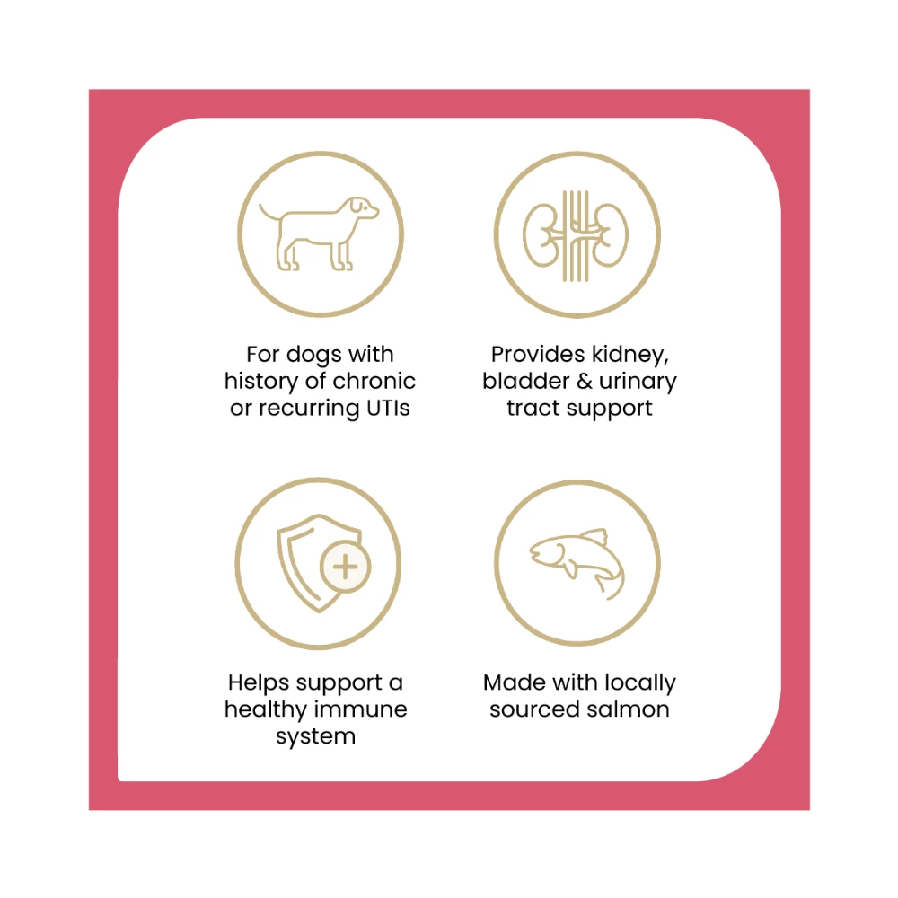 ZamiPet Urinary Support Dog 60 Chews - Image 5